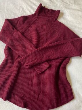 Theory Burgundy Ribbed Turtleneck Sweater